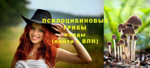ALPHA PVP Богородицк