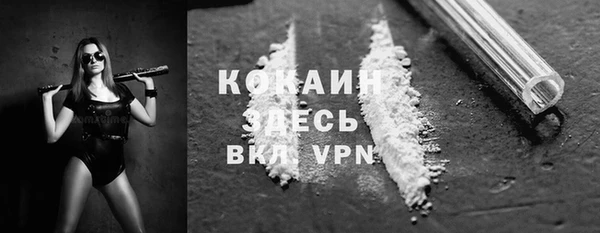 сатива Богданович