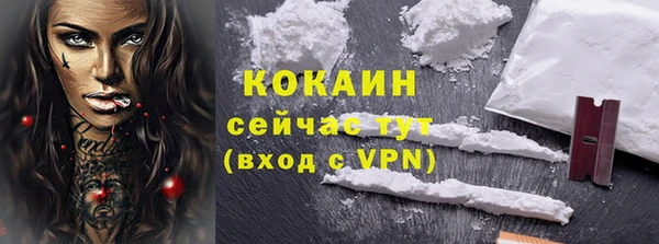 сатива Богданович