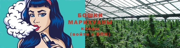 сатива Богданович