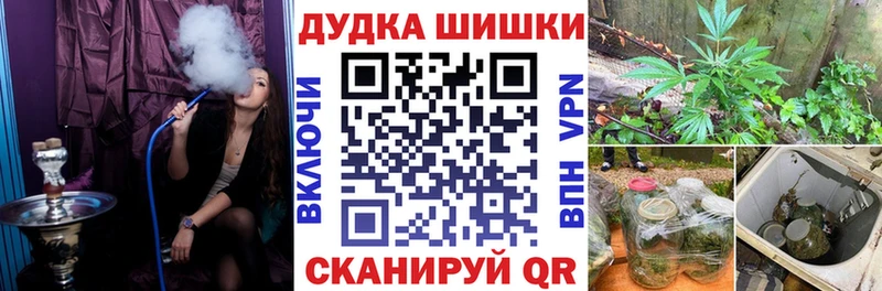 Бошки Шишки планчик mega ТОР Болотное